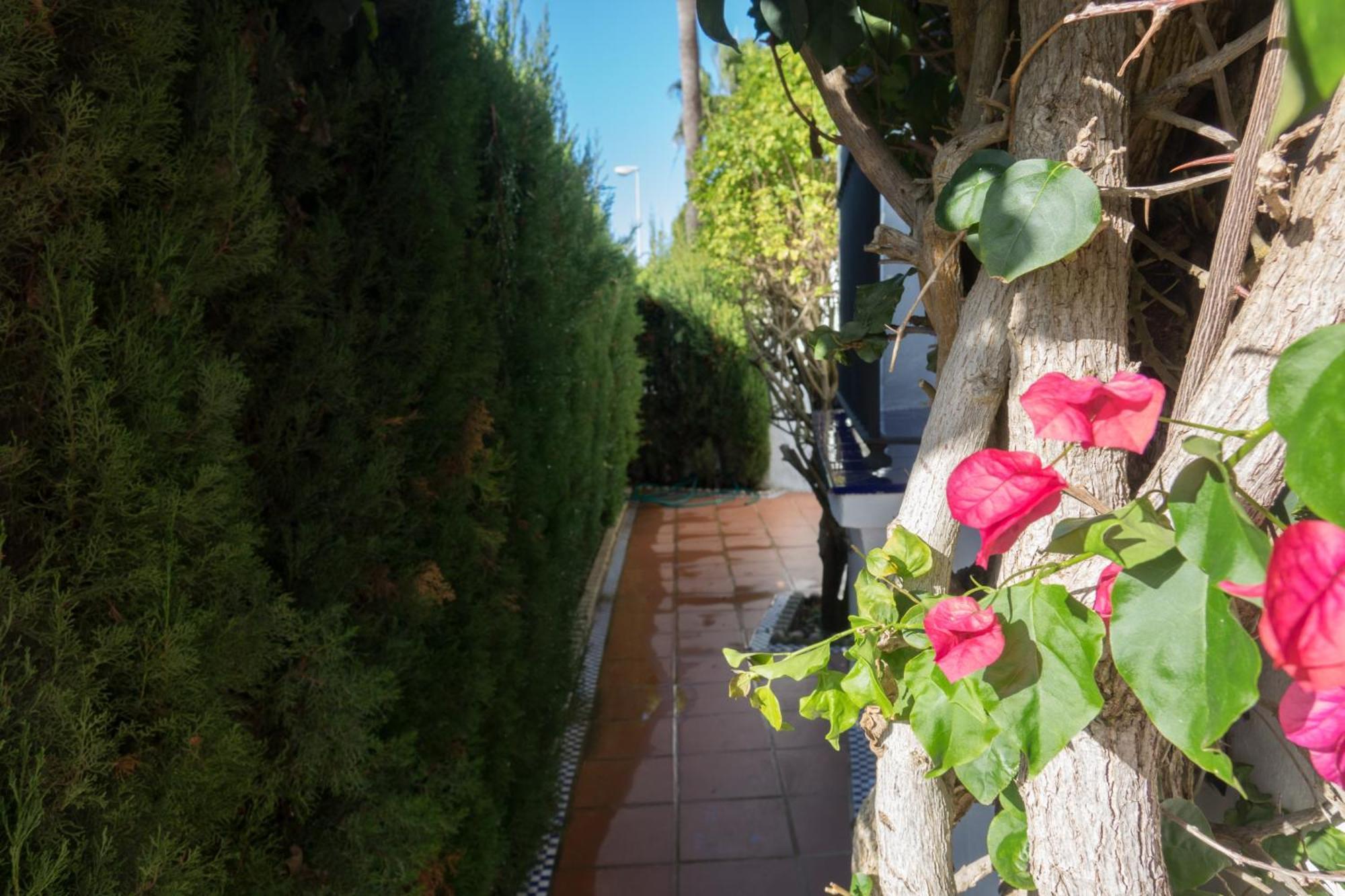 Apartamento Alextia La Barrosa Chiclana de la Frontera Εξωτερικό φωτογραφία